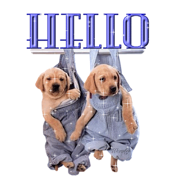 hlllo