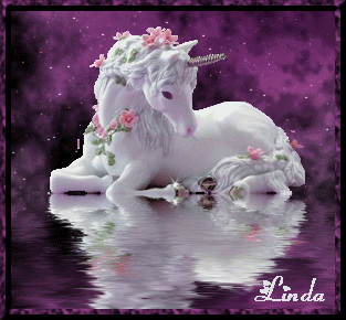 my horse