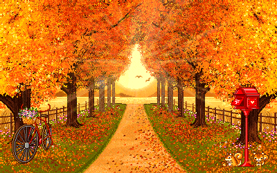 is picture